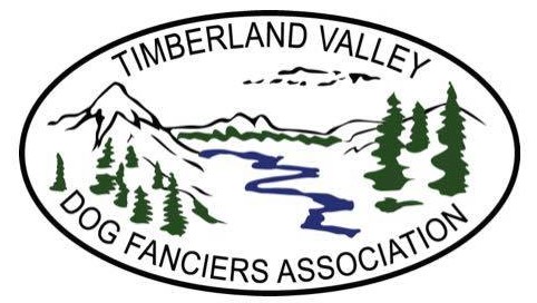 1422490_960967497310956_7923270232795923870_n (2)