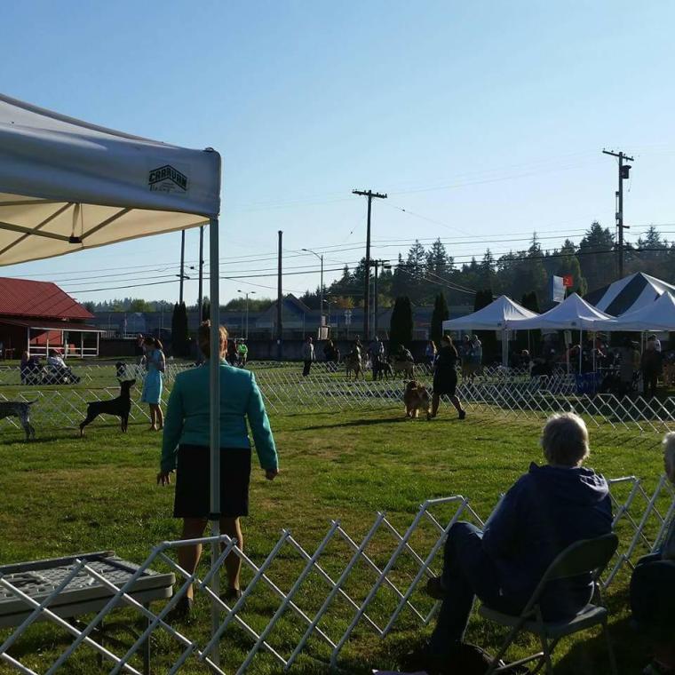 31598687_10214180748225719_1816541101989822464_n