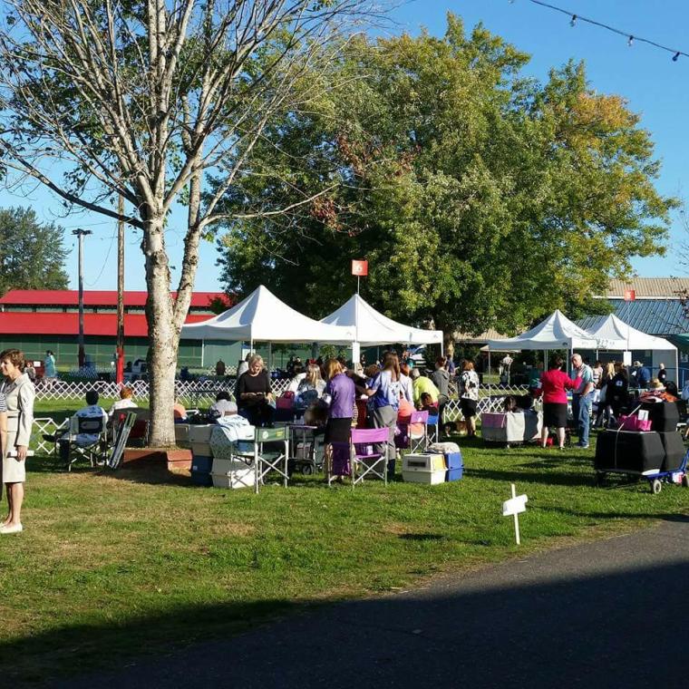 31784725_10214180742985588_1452799441223286784_n