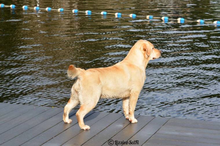 31882824_10214177566906188_5818407623413727232_n