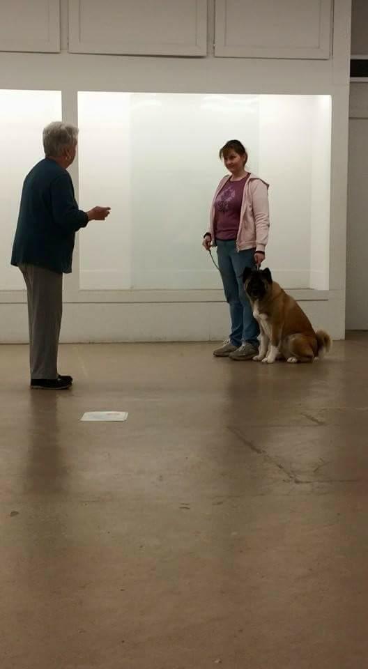 31919549_10214180745105641_1188185020058042368_n