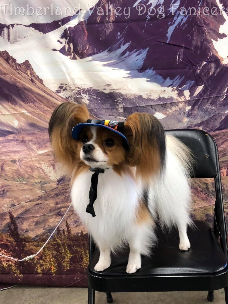 43153033_10212745816265908_927715877988597760_o