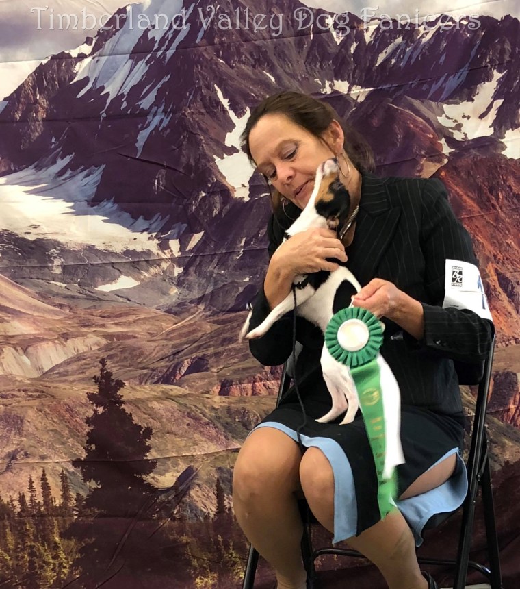 43170595_10212745819665993_3599658764187205632_o