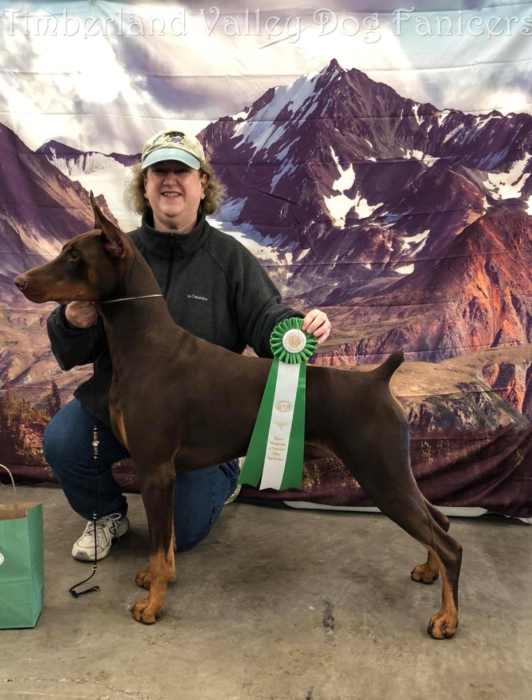 43215771_10212745819065978_7988264726721200128_o